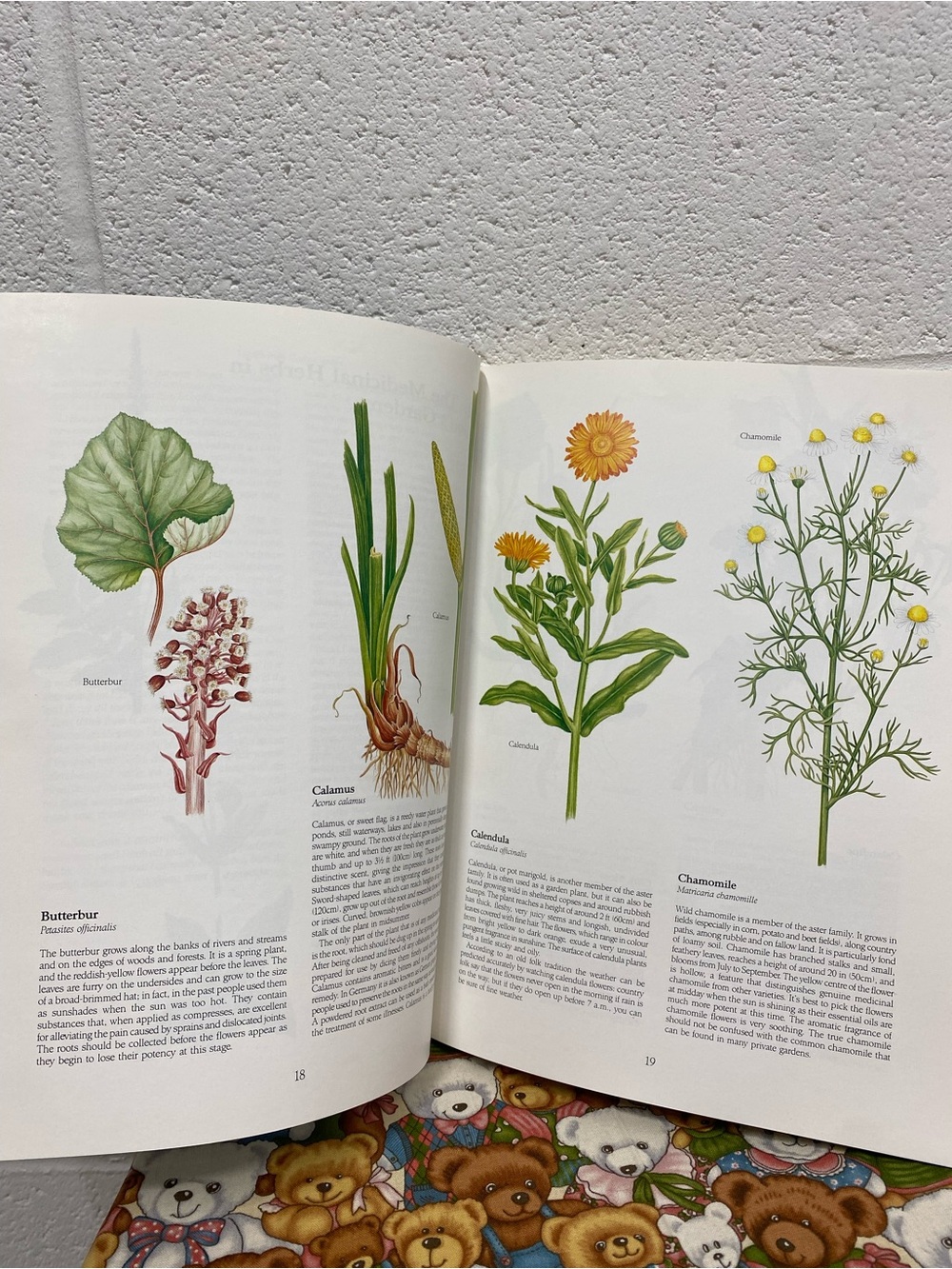 paperback copy of the book Health from God's Garden by Maria Treben - Picture 5 of 15
